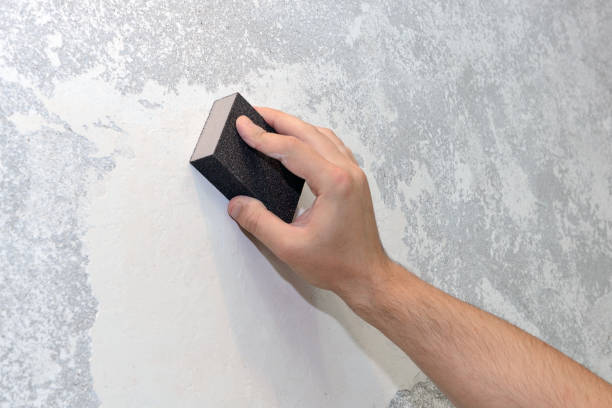 Best Mold Remediation for Healthcare Facilities  in Elba, AL