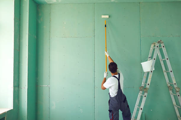 Best Emergency Mold Remediation  in Elba, AL
