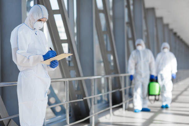 Best Water Damage & Mold Remediation  in Elba, AL