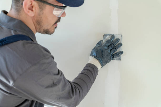 Biohazard Mold Removal in Elba, AL