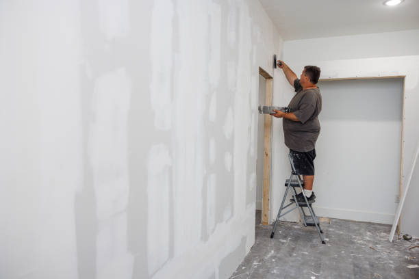 Best Crawl Space Mold Remediation  in Elba, AL
