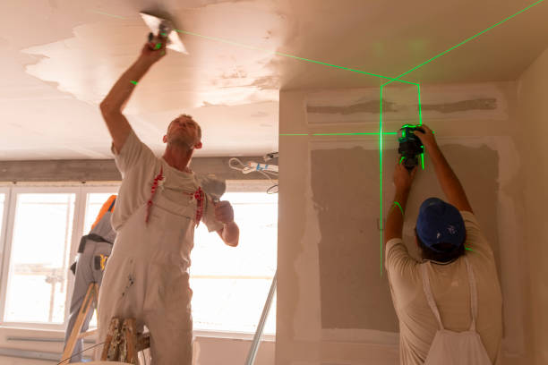 Best Black Mold Removal  in Elba, AL