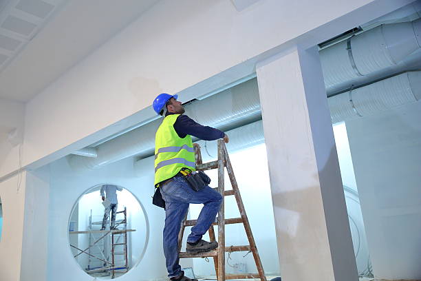 Reliable Elba, AL Mold Removal Solutions